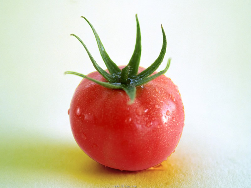 点击大图看下一张：又圆又红的西红柿像苹果