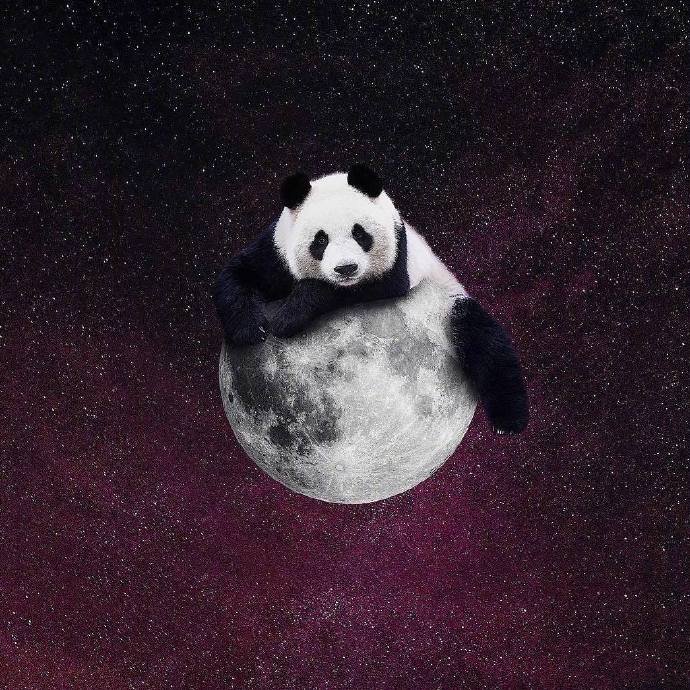 点击大图看下一张：Mr.Panda的奇幻冒险之旅图片欣赏