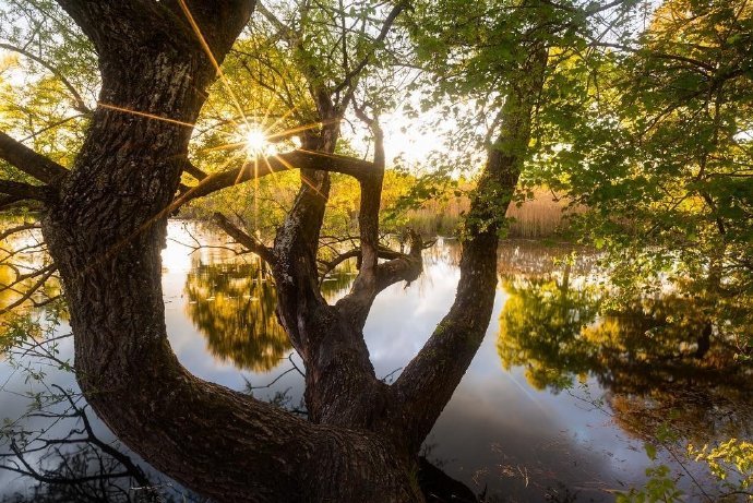点击大图看下一张:日出就代表这美好的希望