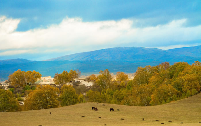 点击大图看下一张：一组乌兰布统草原风景图片欣赏