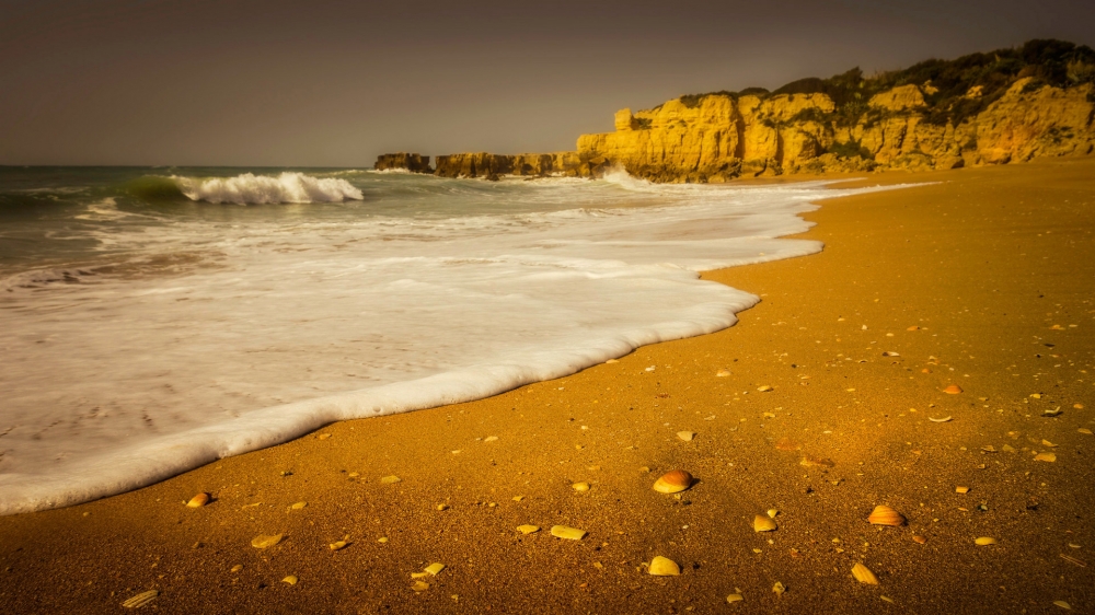 点击大图看下一张：一组美丽的金黄的海滩图片欣赏
