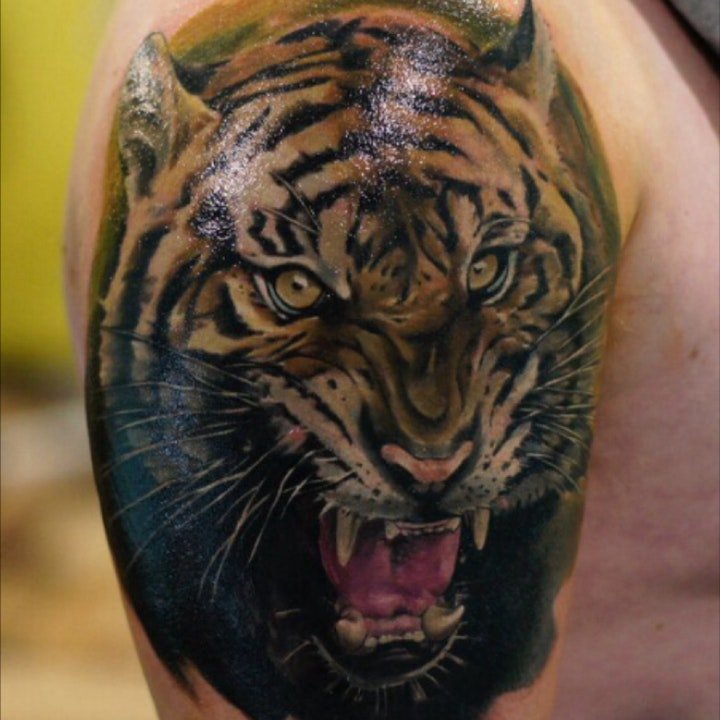 点击大图看下一张：老虎纹身图案-10组表情各异的老虎纹身图