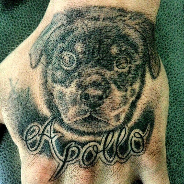 点击大图看下一张：狗狗纹身图案  10款机灵而又可爱的狗狗纹身图案