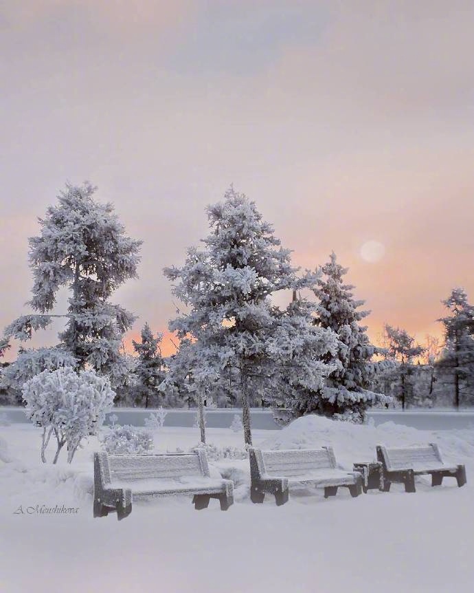 点击大图看下一张：一组美丽的清新雪景图片欣赏