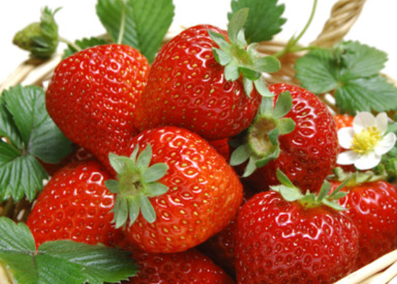 点击大图看下一张：草莓外表鲜嫩，有很多的维生素
