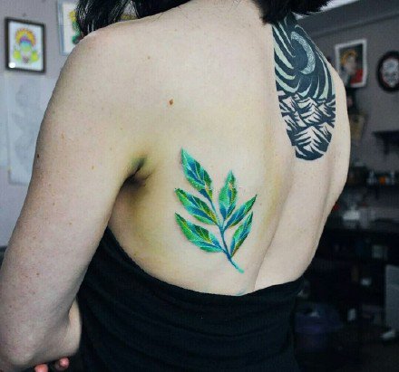 点击大图看下一张：叶子纹身 9张漂亮植物叶子彩色纹身图案