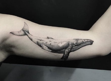 点击大图看下一张：鲸鱼纹身：好看的9张小清新鲸鱼纹身图案