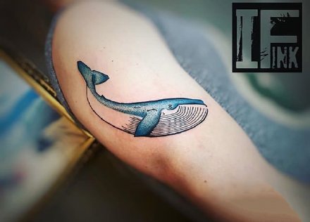 点击大图看下一张：鲸鱼纹身：好看的9张小清新鲸鱼纹身图案