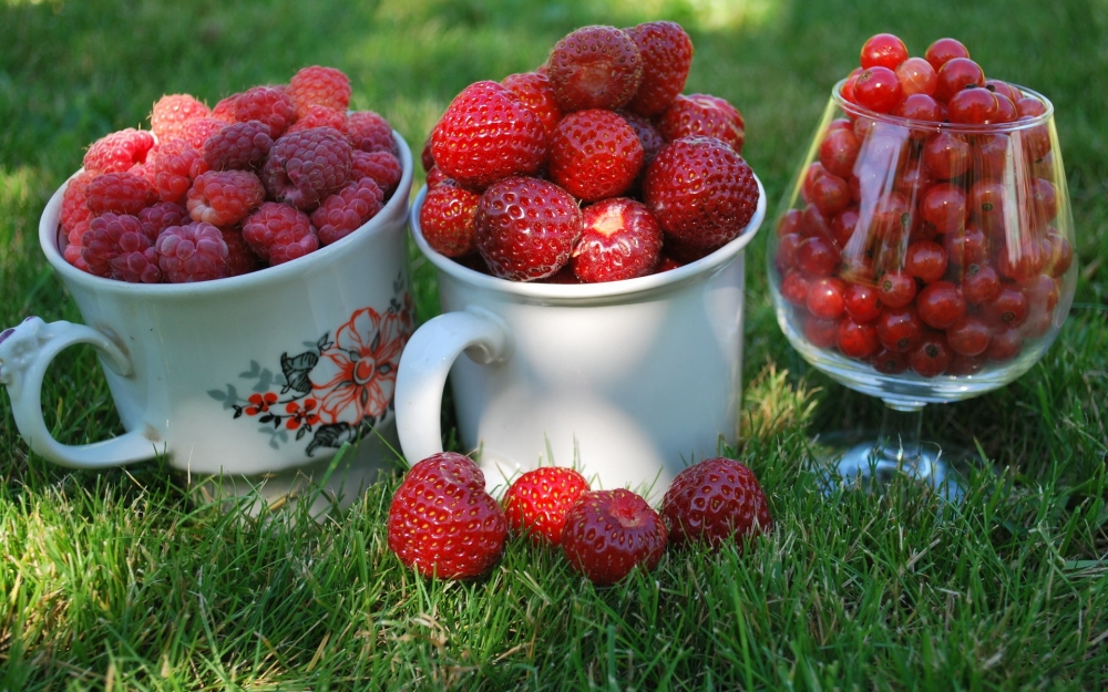 点击大图看下一张：好吃甜润口的红树莓水果图片