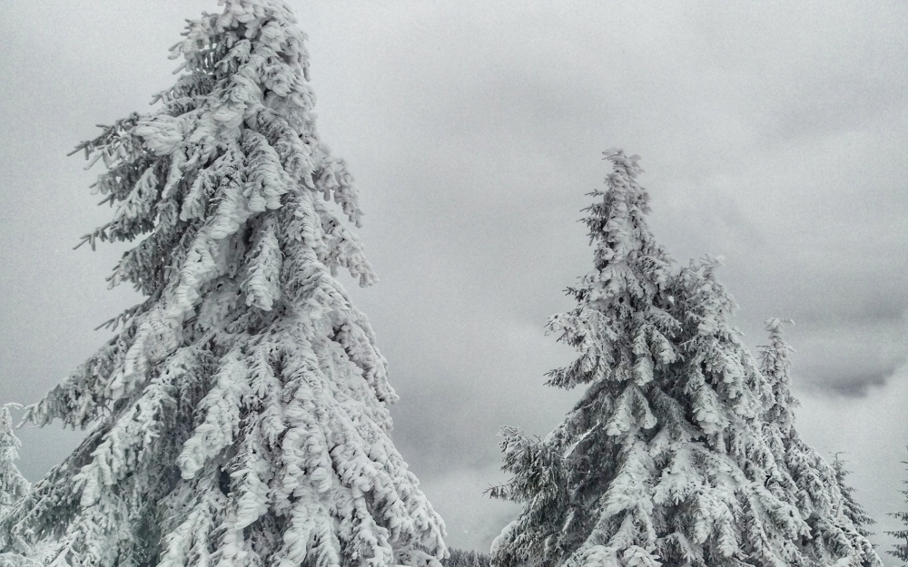 点击大图看下一张：唯美冬日雪景图片高清壁纸