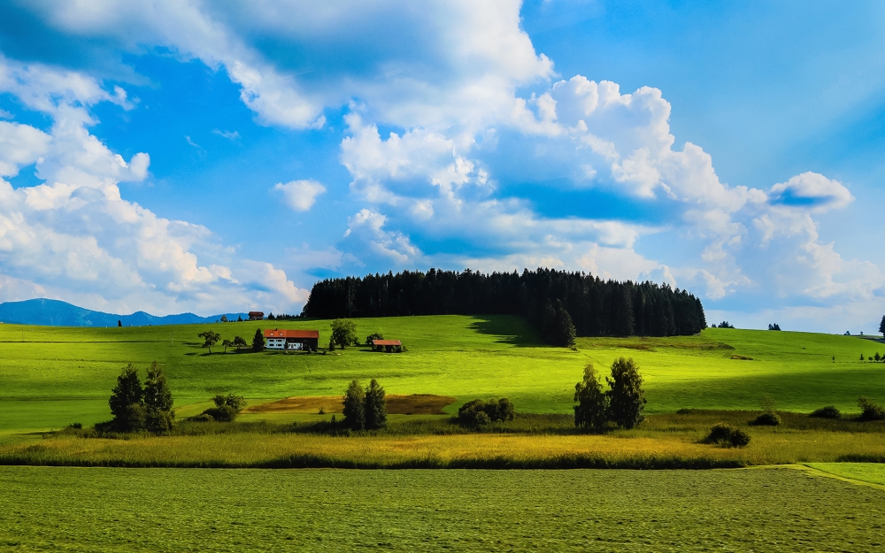 点击大图看下一张：奥地利绿色护眼的大自然风景高清图片