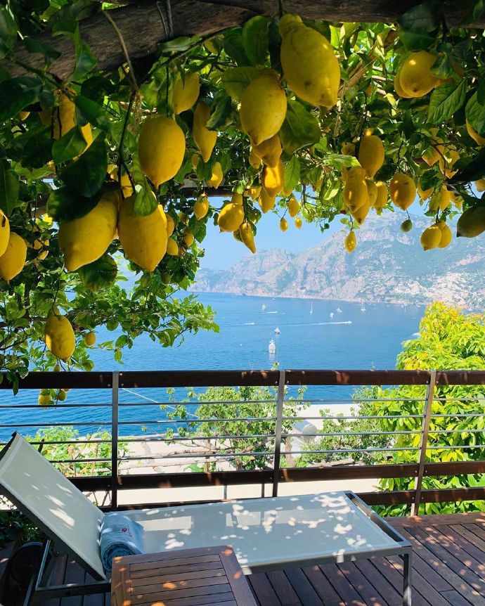点击大图看下一张：一组柠檬树下的夏日图片欣赏