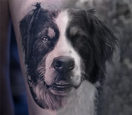 点击大图看下一张：写实的一组宠物猫狗纹身作品图片