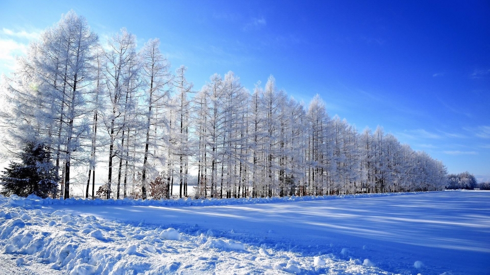 点击大图看下一张：唯美自然雪景高清桌面壁纸