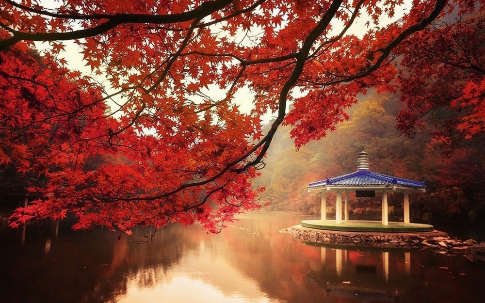 点击大图看下一张：唯美意境秋季风景高清图片欣赏