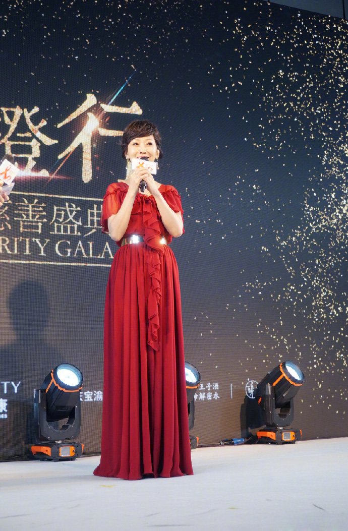 点击大图看下一张:赵雅芝慈善公益活动优雅迷人写真图片