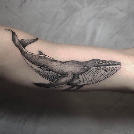 点击大图看下一张：9款黑灰色的点刺鲸鱼纹身图案