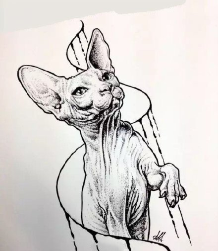 点击大图看下一张：一组斯芬克斯猫的纹身图片