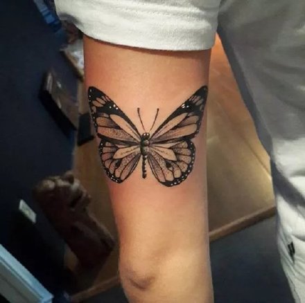 点击大图看下一张：蝴蝶纹身 20款创意小清新的蝴蝶纹身图案