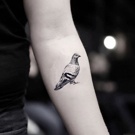 点击大图看下一张：纹身鸽子图 9张象征和平的鸽子纹身图片