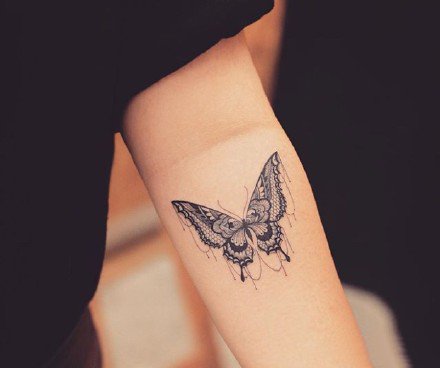 点击大图看下一张：纹身蝴蝶素材 一组女生漂亮的蝴蝶纹身手稿和作品