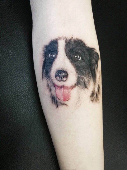 点击大图看下一张：可爱小狗纹身 9张很可爱的宠物小狗狗纹身图片
