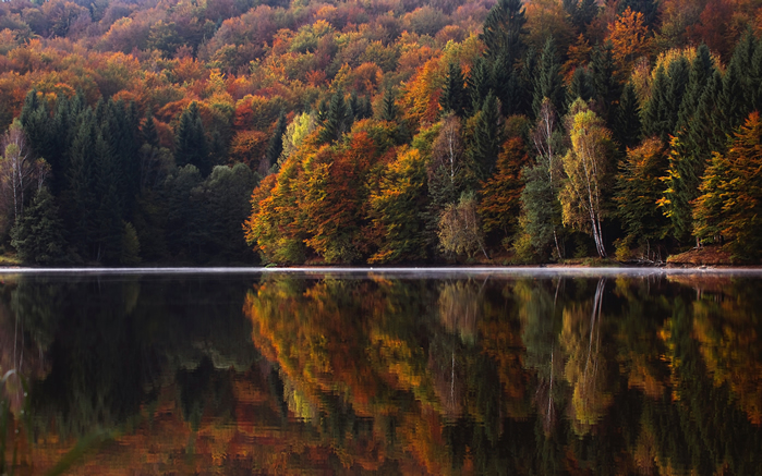 点击大图看下一张：一组唯美秋季风光高清图片欣赏