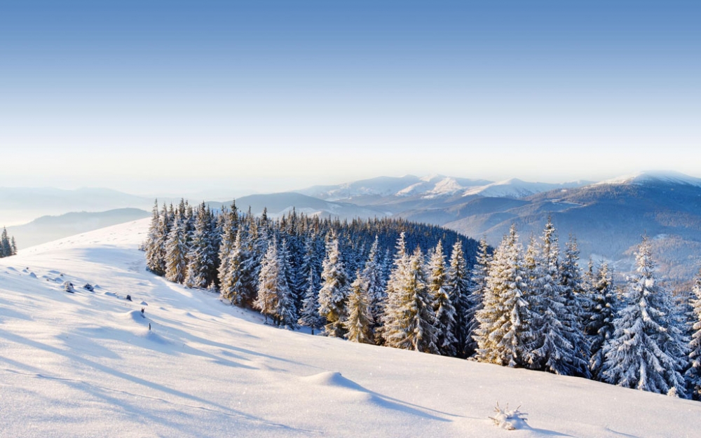 点击大图看下一张：美丽的冬天雪景高清图片