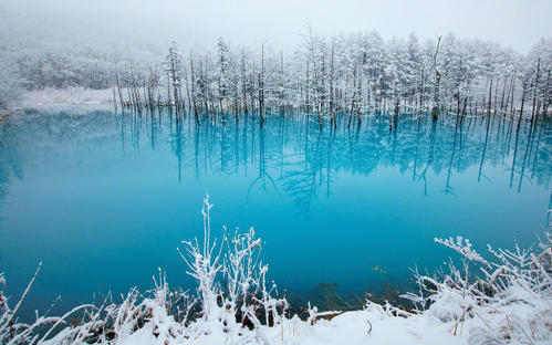 点击大图看下一张：美丽的冬天雪景高清图片