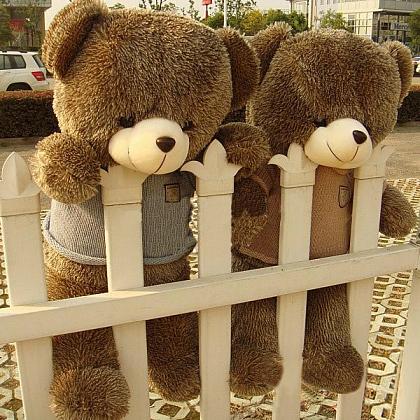 点击大图看下一张：一组呆萌可爱的泰迪熊玩具图片