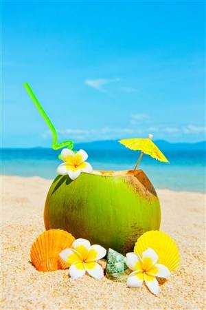 点击大图看下一张：一组清甜解渴的椰子图片