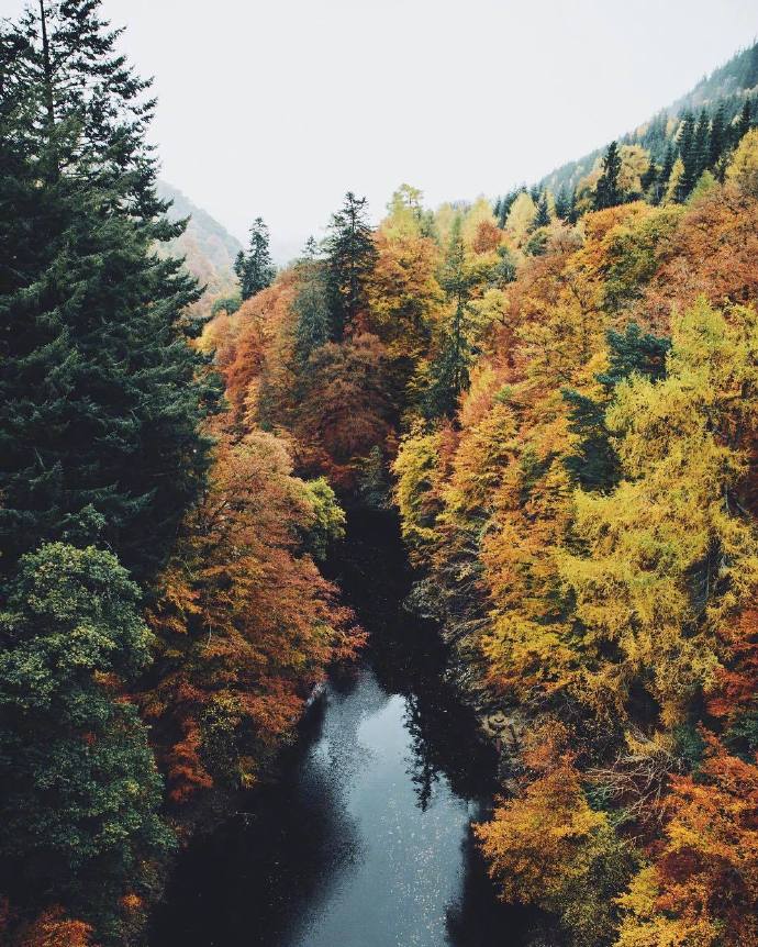 点击大图看下一张：一组意境美的秋天落叶图片欣赏