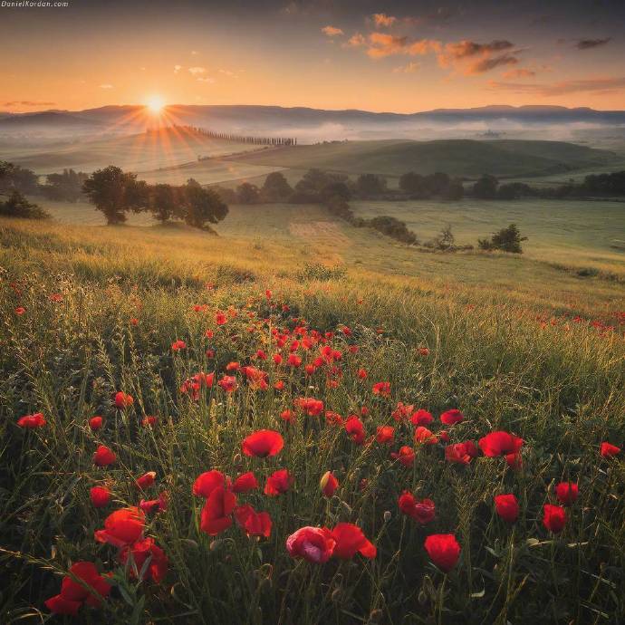 点击大图看下一张：一组托斯卡纳美丽的自然风景图片