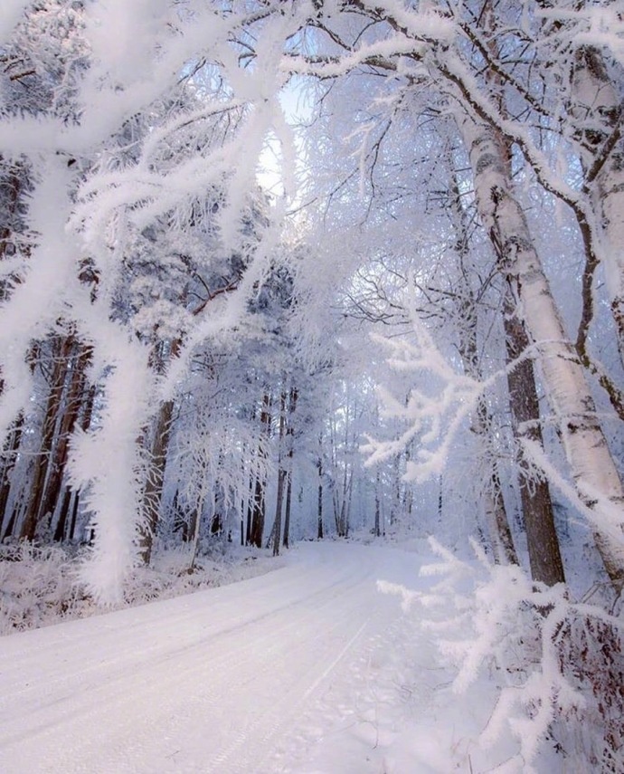 点击大图看下一张：芬兰Lapua的雪景图片
