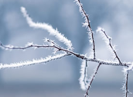 一组冬季霜冻美景图片欣赏