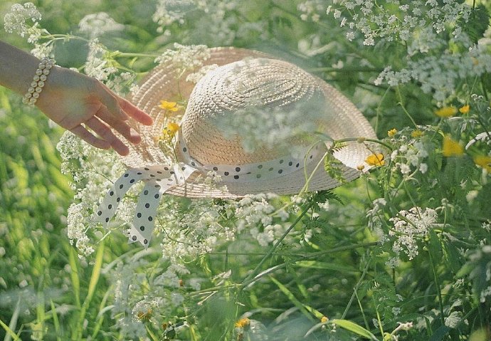 点击大图看下一张：一组生机勃勃的花花草草图片