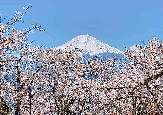 点击大图看下一张：新仓山浅间公园，欣赏富士山的好去处