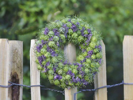 点击大图看下一张：一组创意好看的花环图片