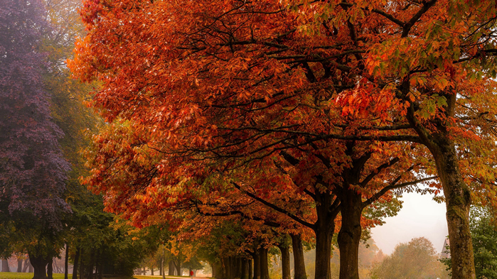 点击大图看下一张：秋意渐浓唯美风光桌面壁纸