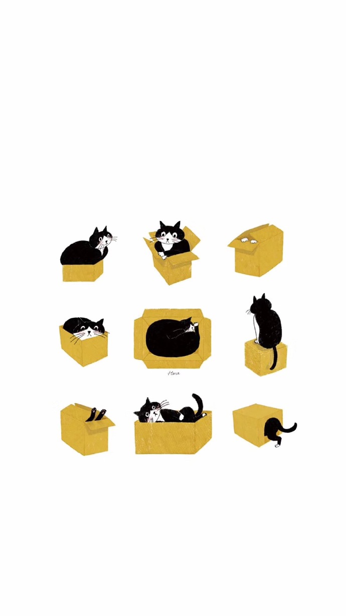 点击大图看下一张：一组可爱的猫咪壁纸图片