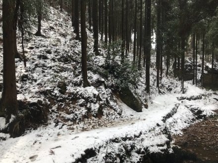 点击大图看下一张:这么美的雪景来自3月的天曌山