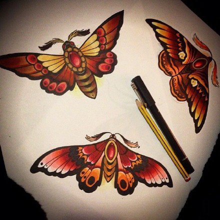点击大图看下一张：飞蛾纹身 9款彩色school风格的飞蛾子纹身图片