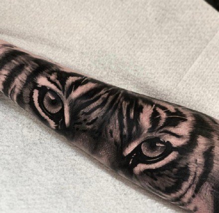 点击大图看下一张：小臂老虎纹身 男生包小臂的黑灰写实老虎纹身图案