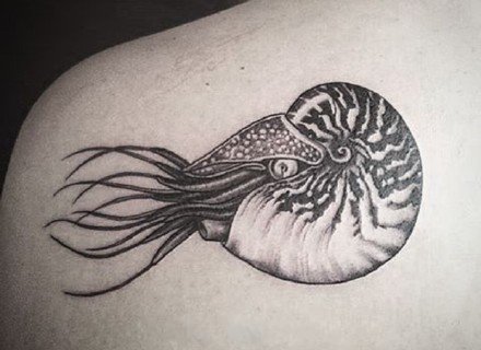 点击大图看下一张：小清新海洋动物题材的9款海螺海贝等纹身图片