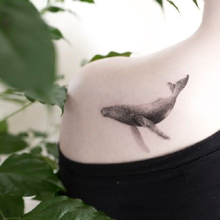 点击大图看下一张：纹身鲸鱼图 9款好看的鲸鱼纹身图片