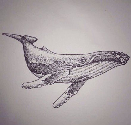 点击大图看下一张：纹身鲸鱼图 9款好看的鲸鱼纹身图片