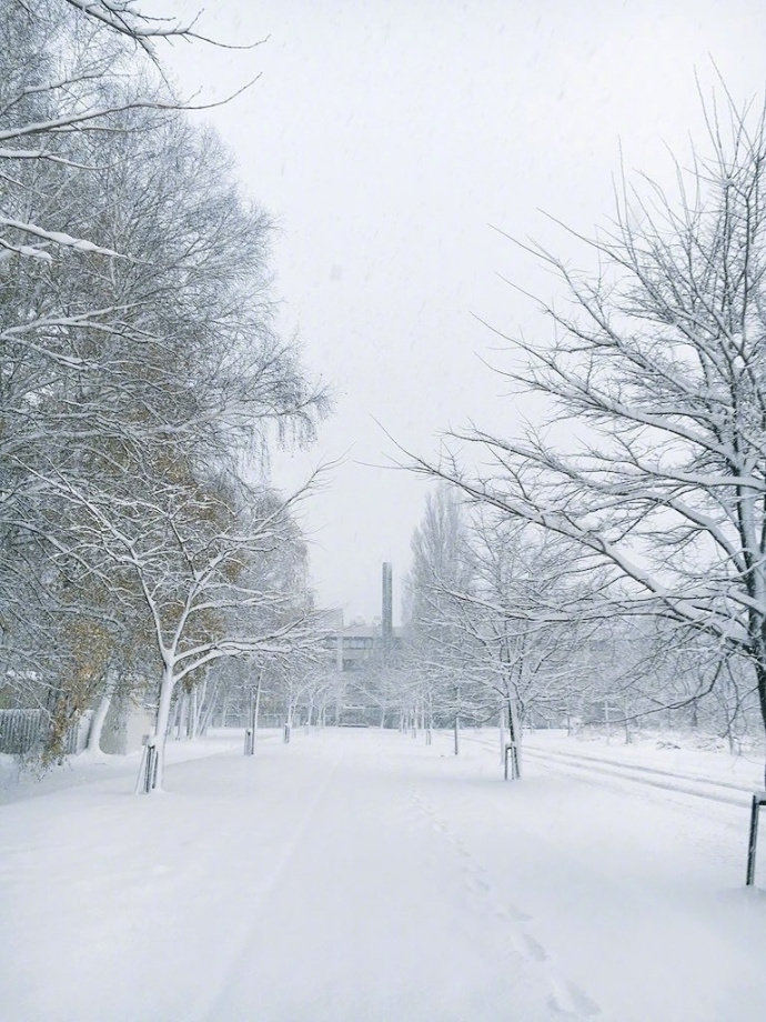 点击大图看下一张：北海道大学的雪景