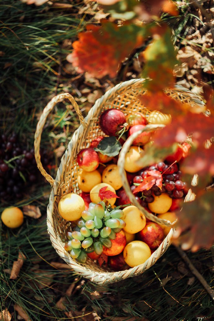 点击大图看下一张：一组秋天里美丽的苹果图片欣赏