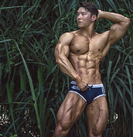 点击大图看下一张：韩国健美肌肉男模图片