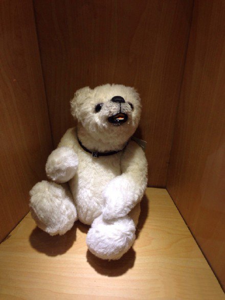 点击大图看下一张：一组泰迪熊展览分享图片